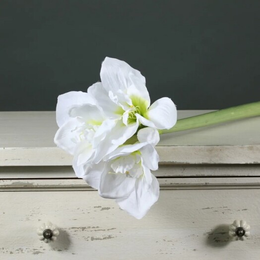 Amaryllis Spray - White