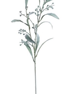 Mimosa Spray Light Green