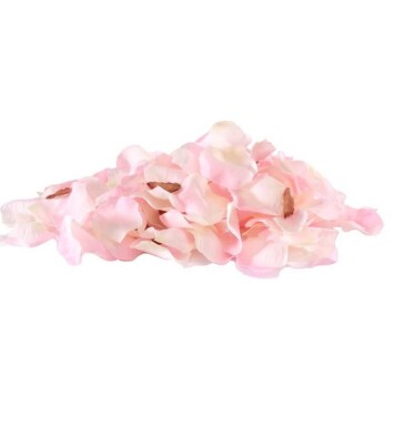 Champagne Pink Rose Petals