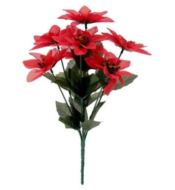 Red Poinsetta Bush